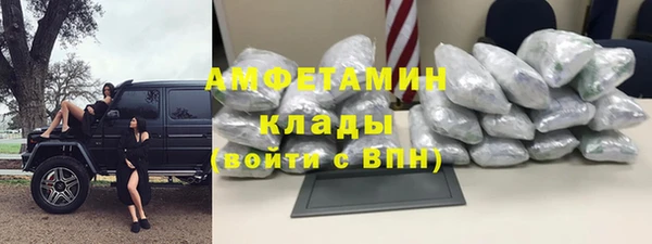 шишки Алзамай