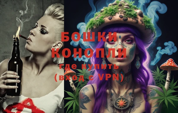 шишки Алзамай