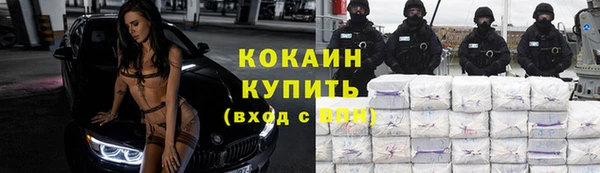 PSILOCYBIN Абаза