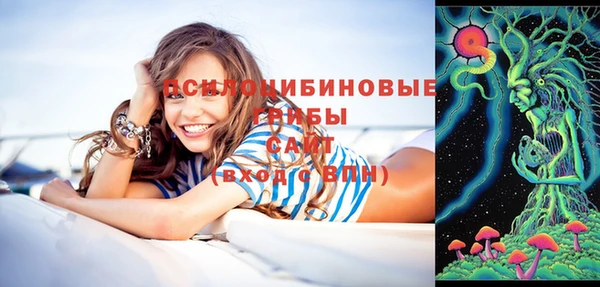 ALPHA-PVP Алексеевка