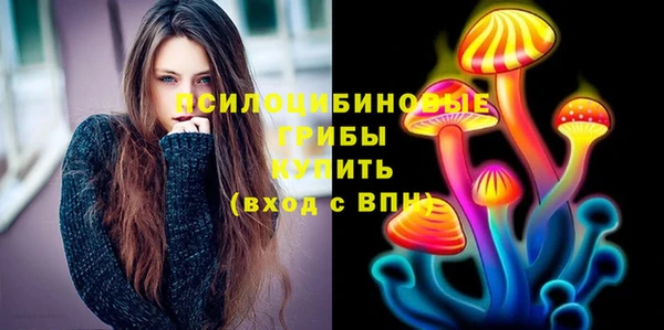 шишки Алзамай