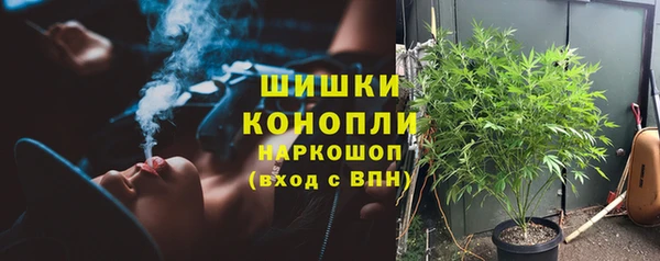 шишки Алзамай