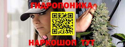 PSILOCYBIN Тулун