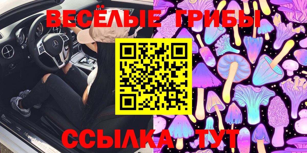 Галлюциногенные грибы Psilocybine cubensis  Вход с VPN  Советская Гавань 